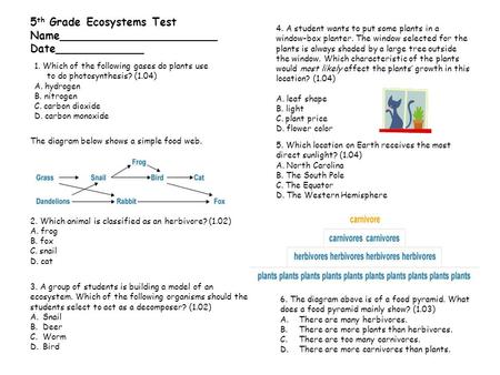 5th Grade Ecosystems Test Name_______________________