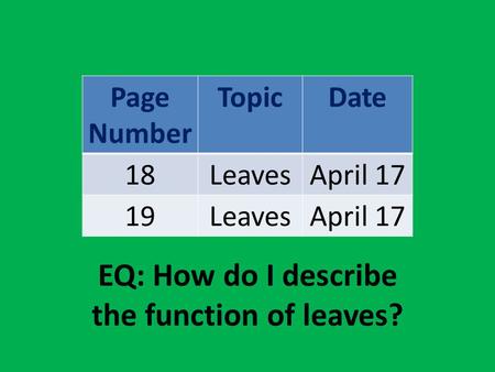 EQ: How do I describe the function of leaves?