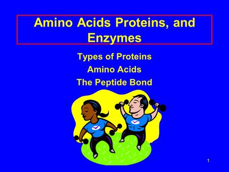 1 Amino Acids Proteins, and Enzymes Types of Proteins Amino Acids The Peptide Bond.