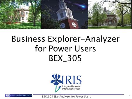 Business Explorer-Analyzer for Power Users BEX_305
