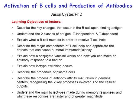 Activation of B cells and Production of Antibodies