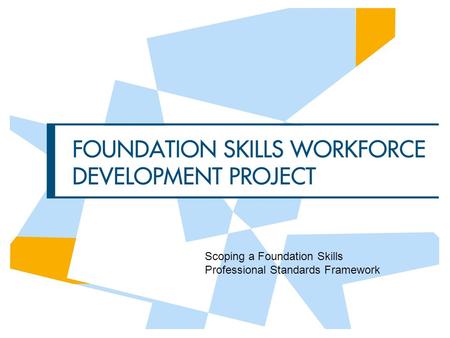 Scoping a Foundation Skills Professional Standards Framework.
