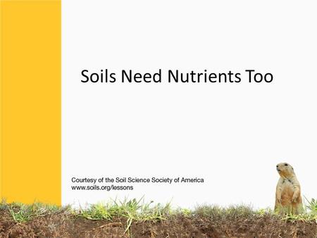 Soils Need Nutrients Too. KEEPING SOILS FIT Most soils have a large supply of nutrients. But when soils are continually used for growing food, nutrients.