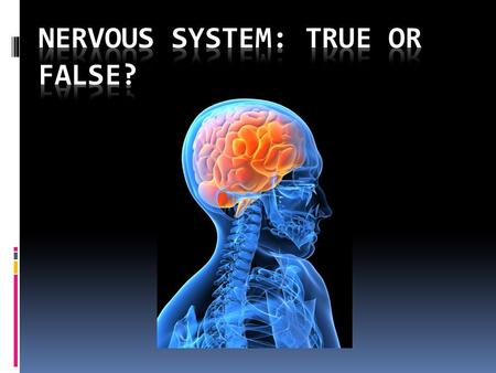 Humans only use 10% of their brain or less  False!