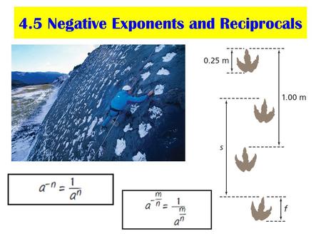 4.5 Negative Exponents and Reciprocals. Construct Understanding.