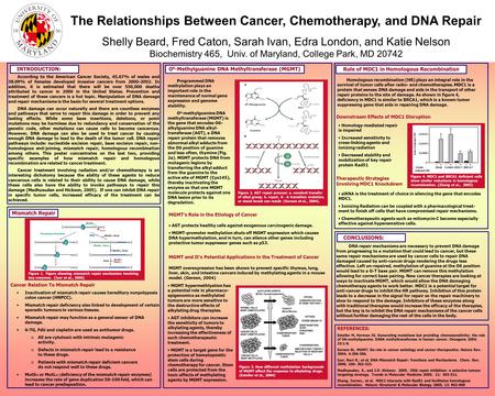 The Relationships Between Cancer, Chemotherapy, and DNA Repair Shelly Beard, Fred Caton, Sarah Ivan, Edra London, and Katie Nelson Biochemistry 465, Univ.