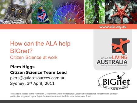 How can the ALA help BIGnet? Citizen Science at work Piers Higgs Citizen Science Team Lead Sydney, 3 rd April, 2011 The Atlas.