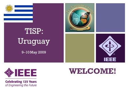 + WELCOME! TISP: Uruguay 9–10 May 2009. + Sort It Out Critical Load Pulleys and Force Ship the Chip Christopher Lester Yvonne Pelham Moshe Kam D.G. Gorham.