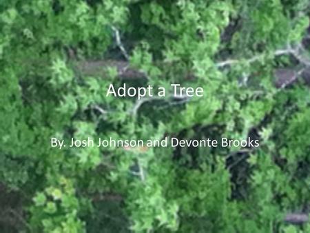 Adopt a Tree By. Josh Johnson and Devonte Brooks.