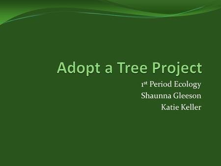 1 st Period Ecology Shaunna Gleeson Katie Keller.