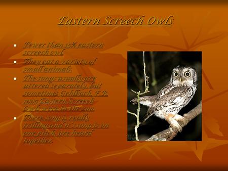 Eastern Screech Owls Fewer than 15% eastern screech owl. Fewer than 15% eastern screech owl. They eat a variety of small animals. They eat a variety of.