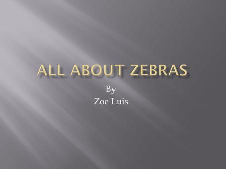 By Zoe Luis  Zebras have stripes and the stripes are black and white.  Zebras have little tails with a puff at the bottom of the tail.  Zebras kind.