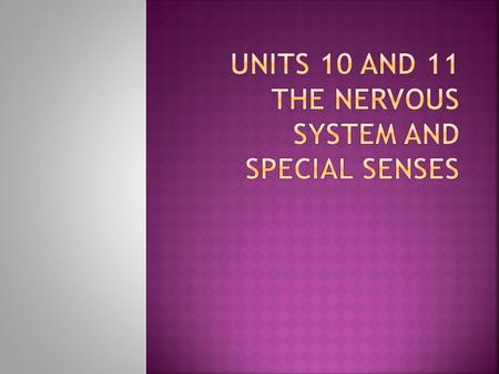 Units 10 and 11 The Nervous system and special senses
