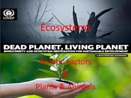 Abiotic Factors & Plants & Animals