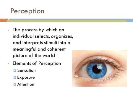 Perception The process by which an individual selects, organizes, and interprets stimuli into a meaningful and coherent picture of the world Elements.