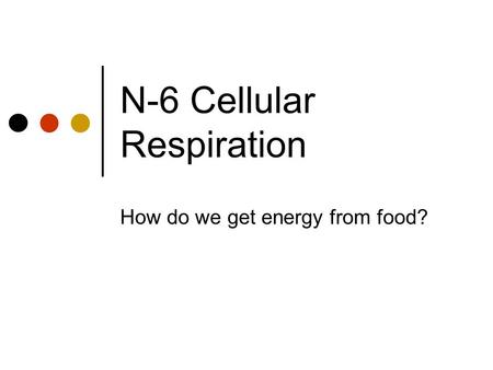 N-6 Cellular Respiration