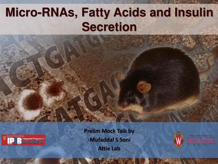 Micro-RNAs, Fatty Acids and Insulin Secretion