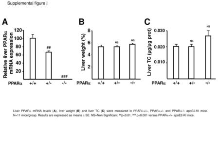 A B C Relative liver PPARa mRNA expression
