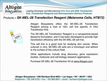 Products > SK-MEL-28 Transfection Reagent (Melanoma Cells, HTB72)