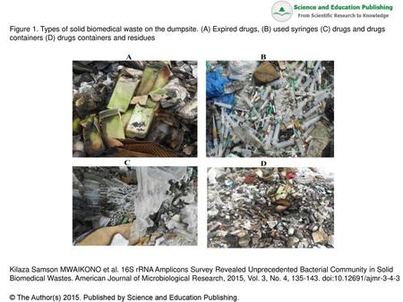 Figure 1. Types of solid biomedical waste on the dumpsite