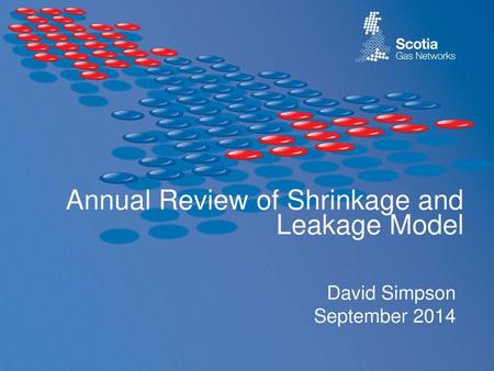Annual Review of Shrinkage and Leakage Model