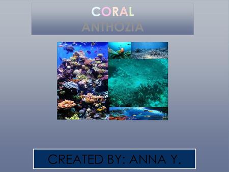 CORAL ANTHOZIA CREATED BY: ANNA Y.