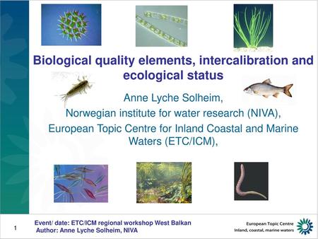 Biological quality elements, intercalibration and ecological status
