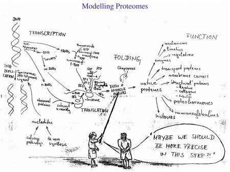 Modelling Proteomes.