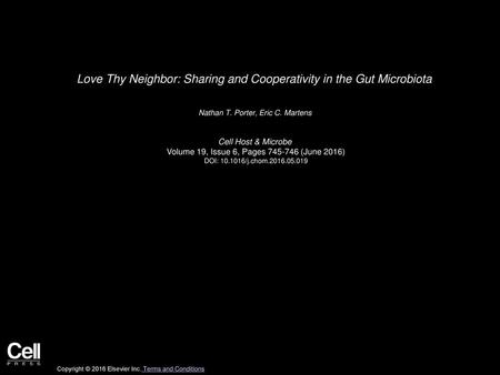 Love Thy Neighbor: Sharing and Cooperativity in the Gut Microbiota