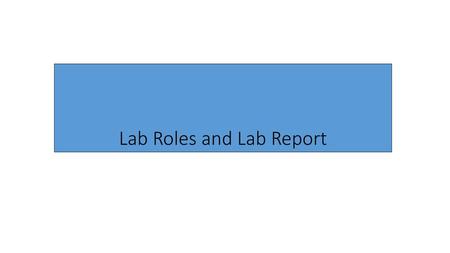 Lab Roles and Lab Report