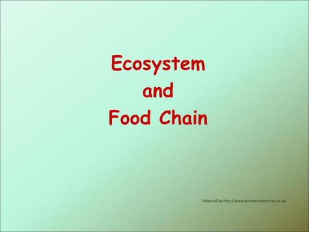 Ecosystem and Food Chain
