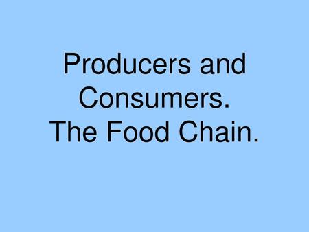 Producers and Consumers. The Food Chain.