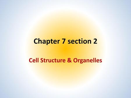 Cell Structure & Organelles
