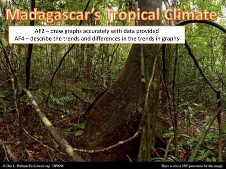 Madagascar’s Tropical Climate