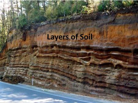 Layers of Soil.