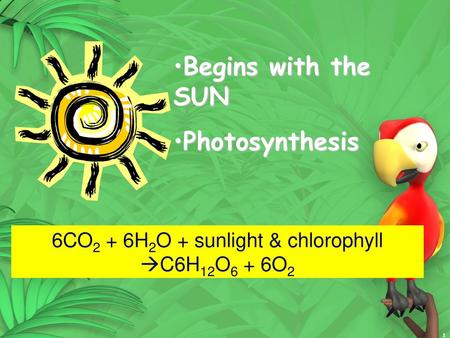 6CO2 + 6H2O + sunlight & chlorophyll C6H12O6 + 6O2