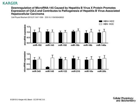 Downregulation of MicroRNA-145 Caused by Hepatitis B Virus X Protein Promotes Expression of CUL5 and Contributes to Pathogenesis of Hepatitis B Virus-Associated.