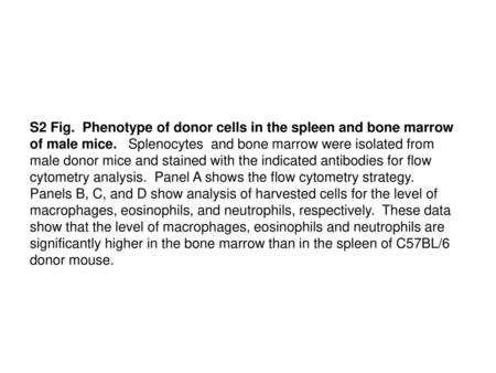 S2 Fig. Phenotype of donor cells in the spleen and bone marrow of male mice. Splenocytes and bone marrow were isolated from male donor mice and stained.