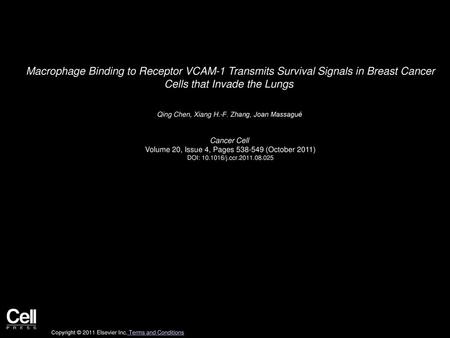 Macrophage Binding to Receptor VCAM-1 Transmits Survival Signals in Breast Cancer Cells that Invade the Lungs  Qing Chen, Xiang H.-F. Zhang, Joan Massagué 