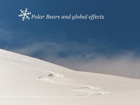 Polar Bears and global effects