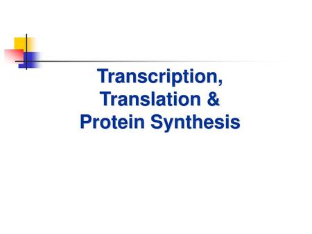 Transcription, Translation & Protein Synthesis