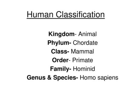 Genus & Species- Homo sapiens