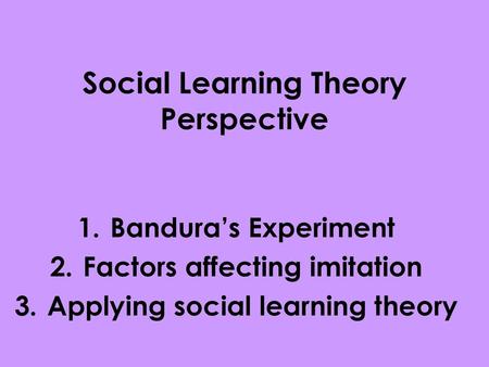 Social Learning Theory Perspective