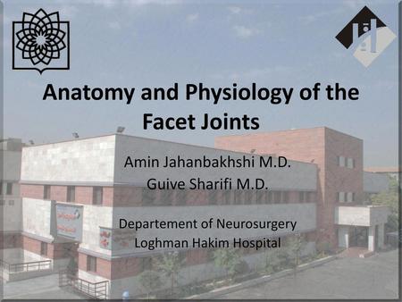 Anatomy and Physiology of the Facet Joints