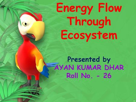 Energy Flow Through Ecosystem Presented by AYAN KUMAR DHAR Roll No