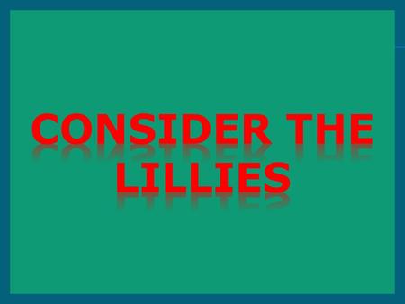 Consider the lillies.
