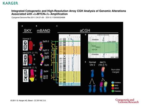 Integrated Cytogenetic and High-Resolution Array CGH Analysis of Genomic Alterations Associated with MYCN Amplification Cytogenet Genome Res 2011;134:27–39.