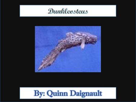 Dunkleosteus By: Quinn Daignault