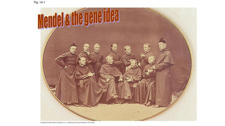 Mendel & the gene idea Fig. 14-1