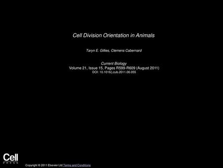 Cell Division Orientation in Animals